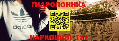 тгк Владимир