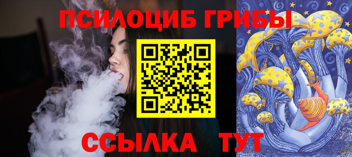 Бор  Псилоцибиновые грибы GOLDEN TEACHER  Вход с VPN 