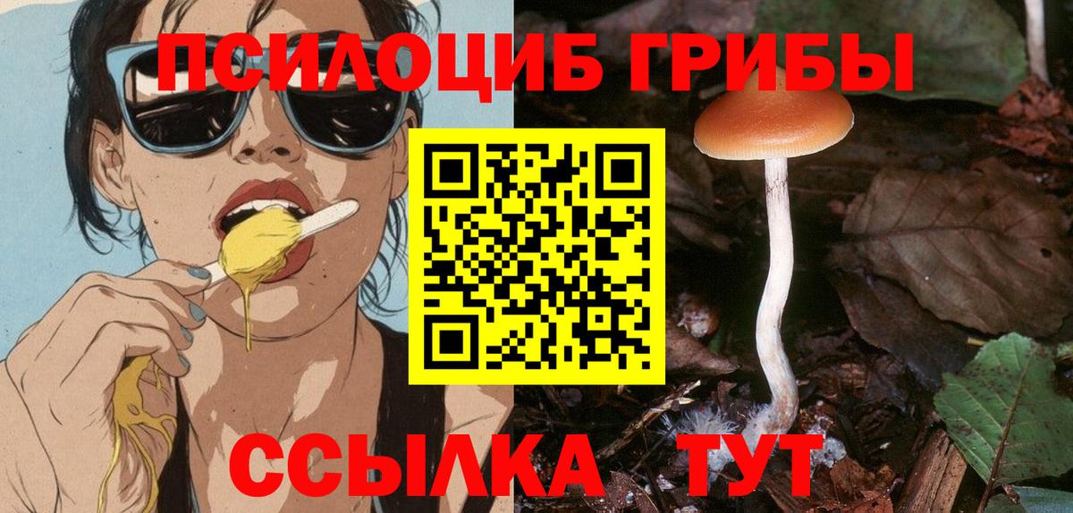 Галлюциногенные грибы GOLDEN TEACHER Бор